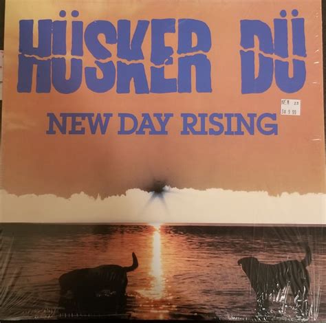 New Day Rising cover