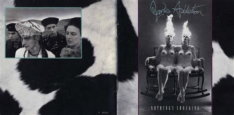 Nothing's Shocking cover